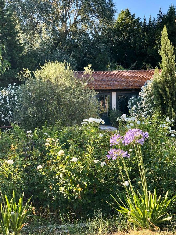 B&B Mas De Caustes Saint-Rémy-de-Provence Zewnętrze zdjęcie