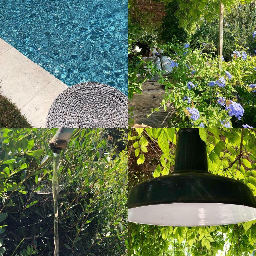 B&B Mas De Caustes Saint-Rémy-de-Provence Zewnętrze zdjęcie