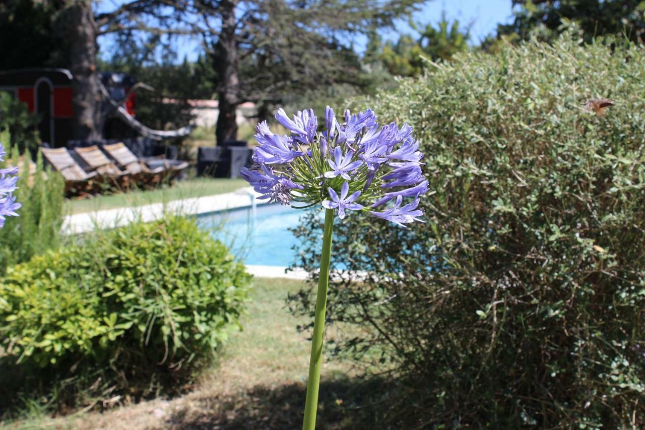 B&B Mas De Caustes Saint-Rémy-de-Provence Zewnętrze zdjęcie