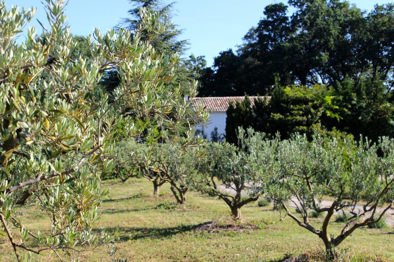 B&B Mas De Caustes Saint-Rémy-de-Provence Zewnętrze zdjęcie