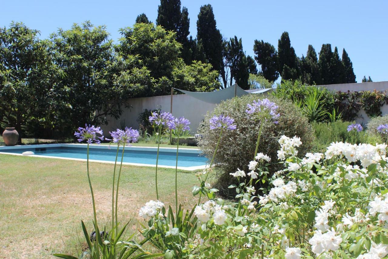 B&B Mas De Caustes Saint-Rémy-de-Provence Zewnętrze zdjęcie