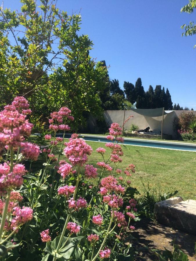 B&B Mas De Caustes Saint-Rémy-de-Provence Zewnętrze zdjęcie
