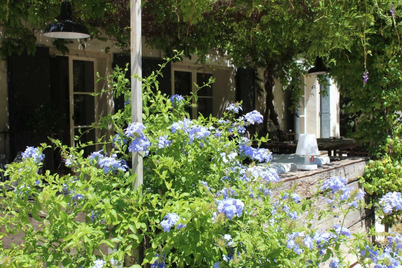 B&B Mas De Caustes Saint-Rémy-de-Provence Zewnętrze zdjęcie